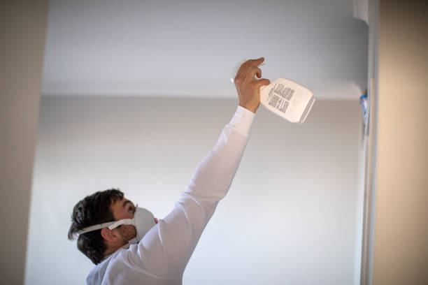 Best Office Mold Removal Services  in Bayou Cane, LA