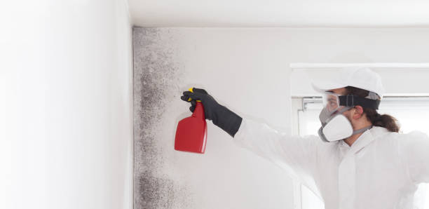 Crawl Space Mold Removal in Bayou Cane, LA